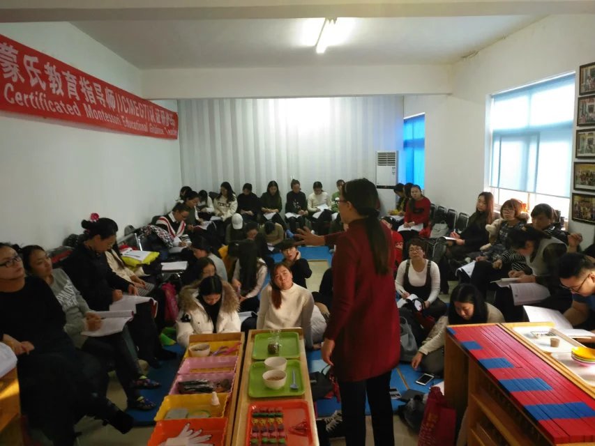 （网课）蒙台梭利资格证790元